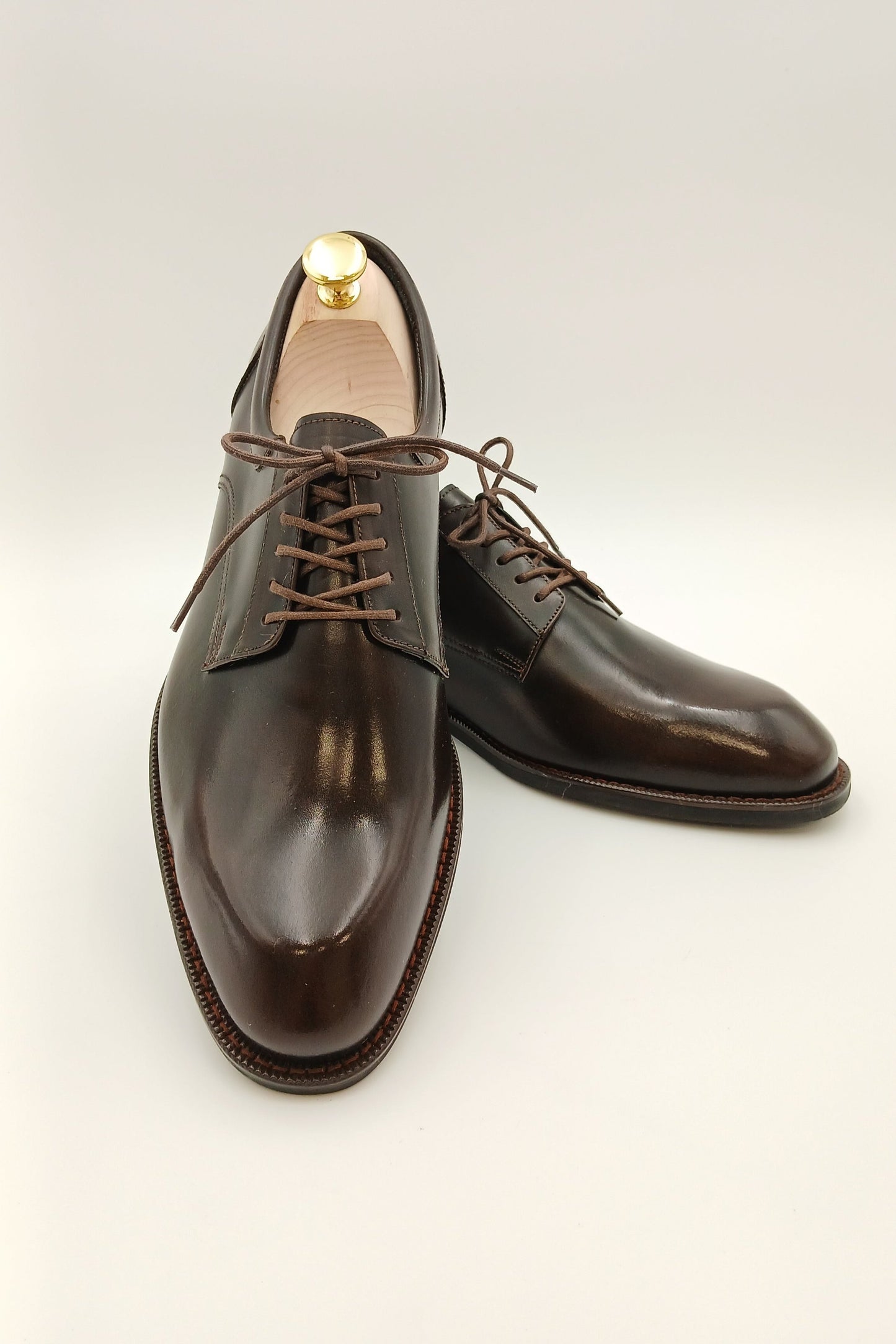 Chestnut Classic Derbies