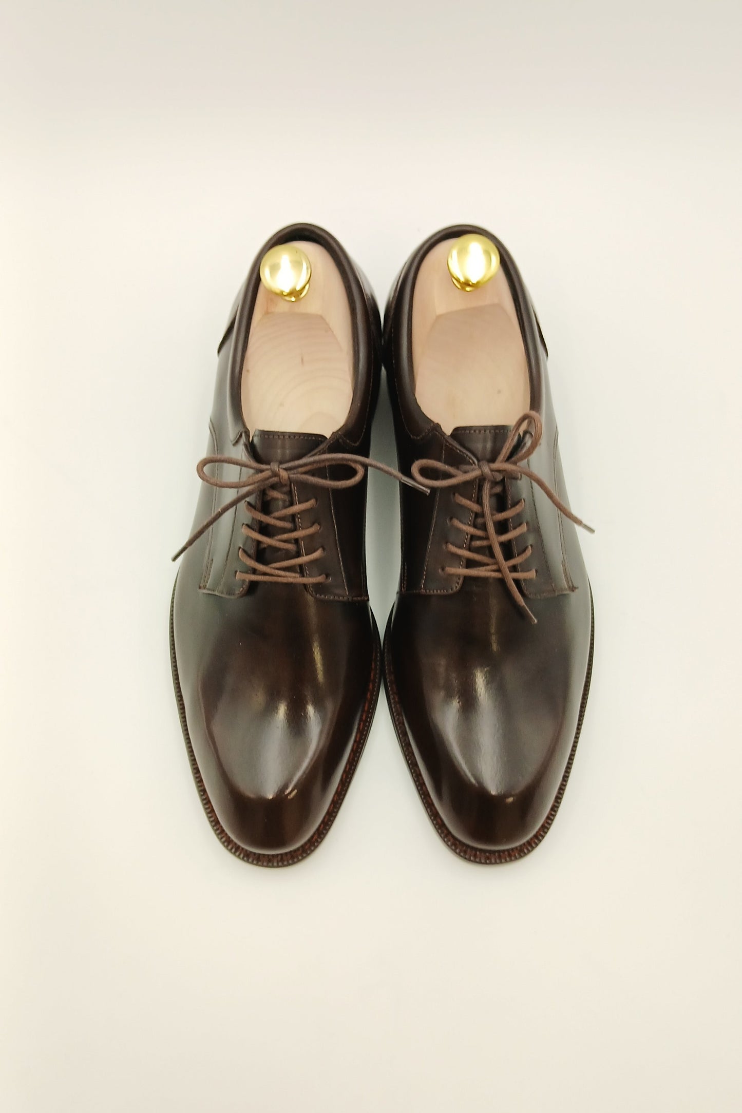 Chestnut Classic Derbies