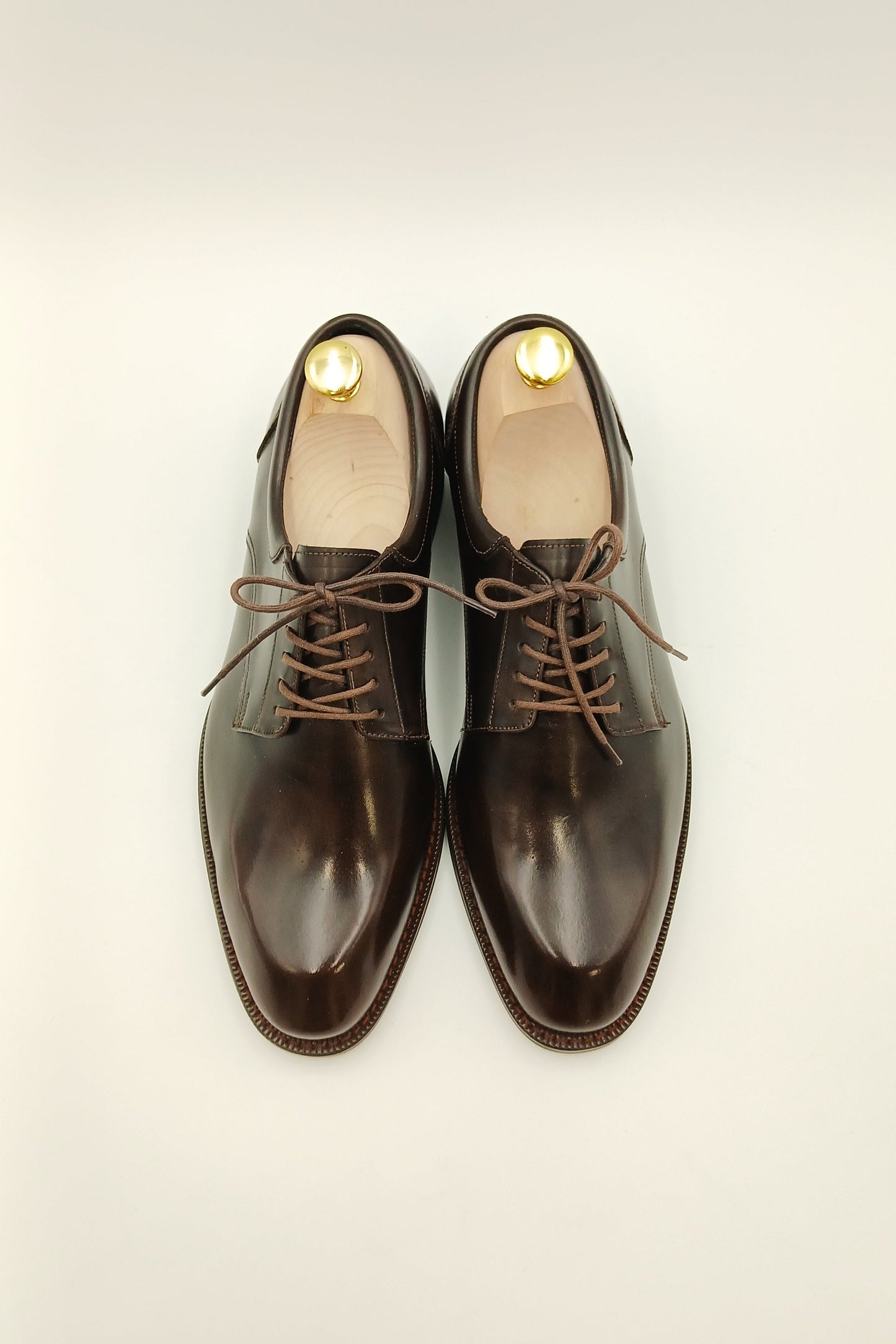 Chestnut Classic Derbies