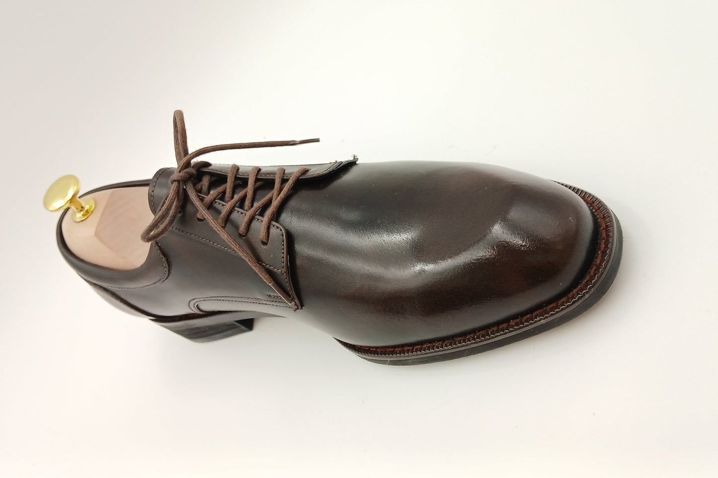 Chestnut Classic Derbies