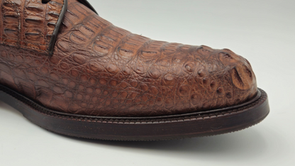 The d29:5 Master Artisan Chestnut Crocodile Derby