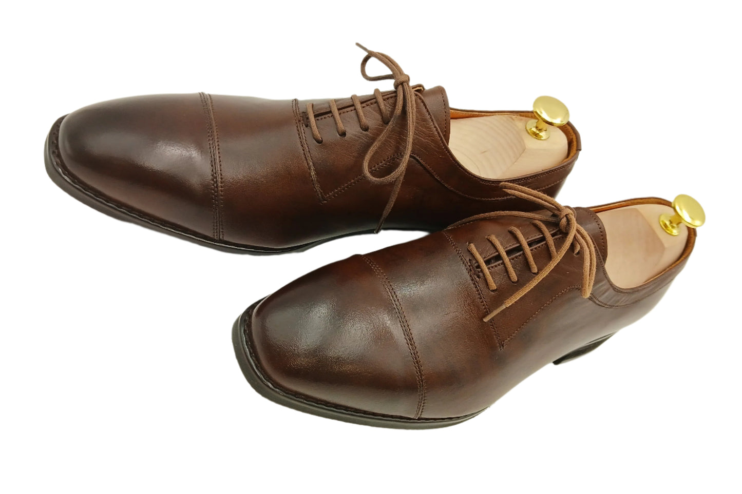 Chestnut Regent Oxfords