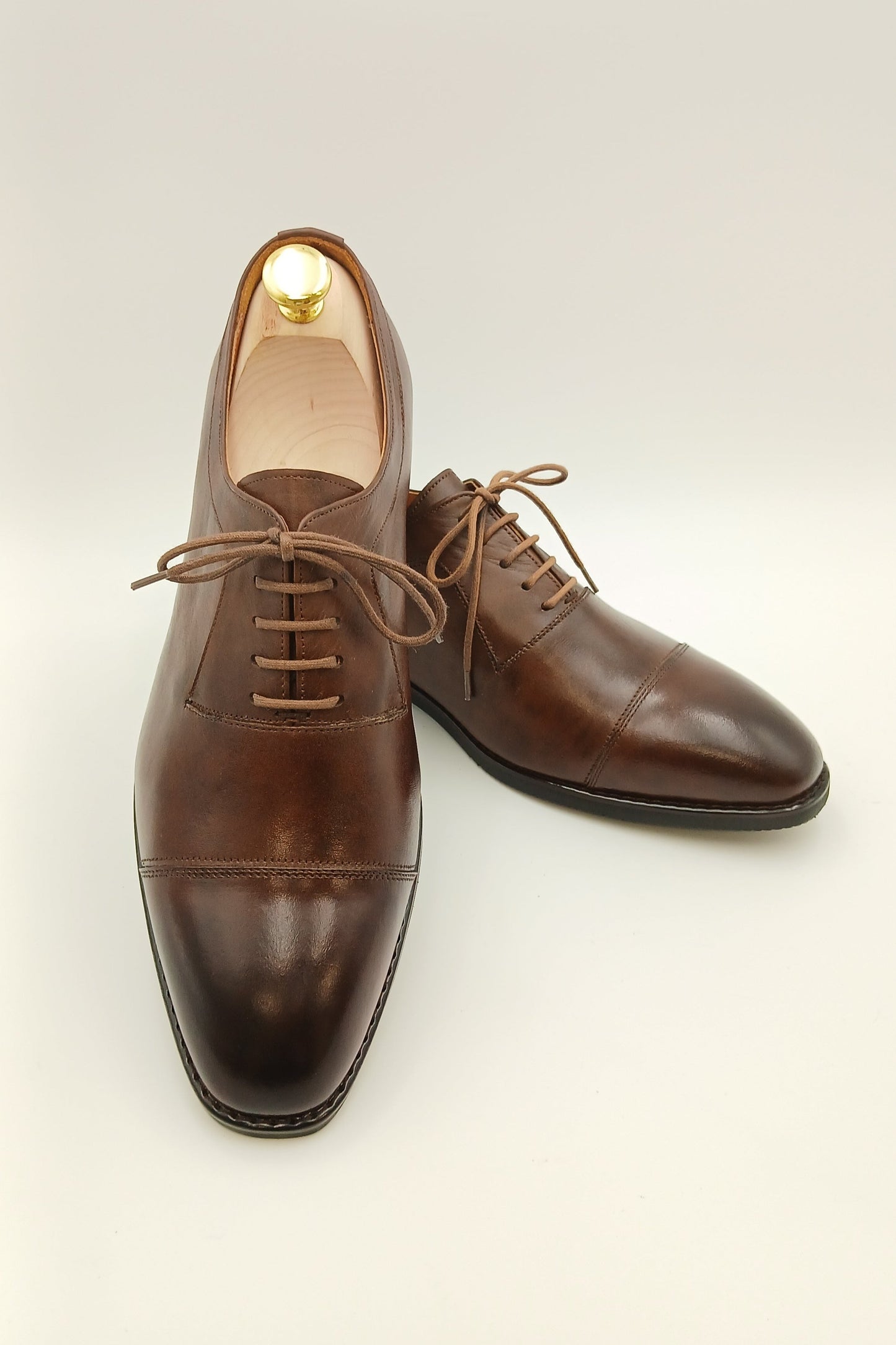 Chestnut Regent Oxfords