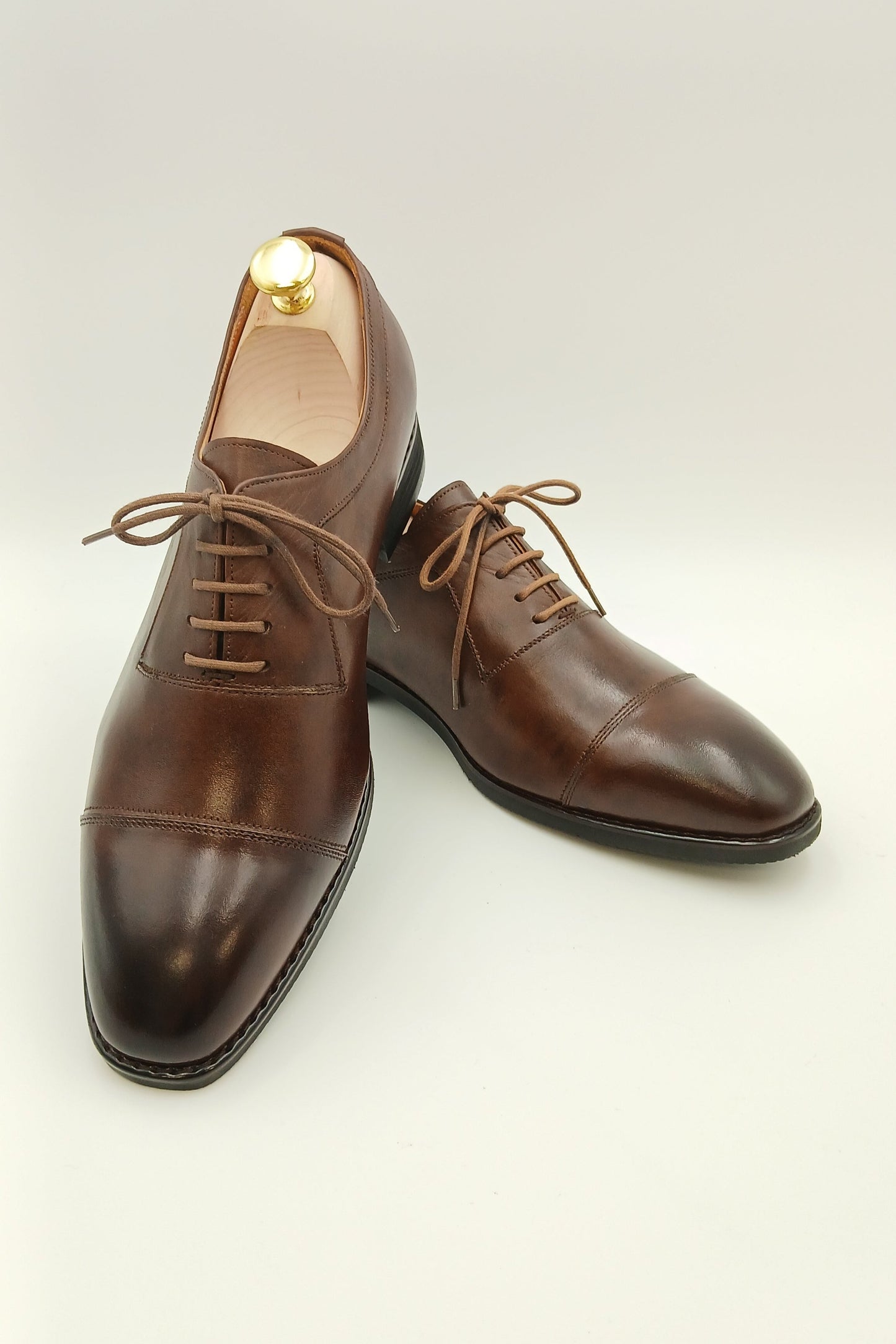 Chestnut Regent Oxfords