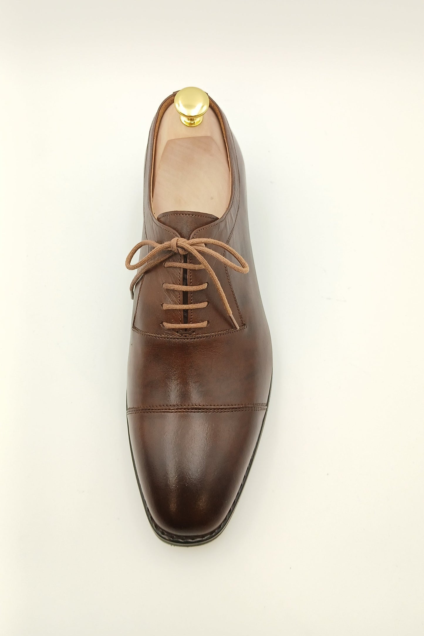 Chestnut Regent Oxfords